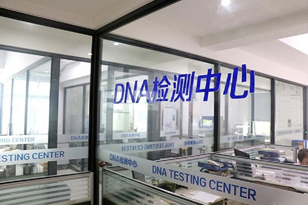 DNA